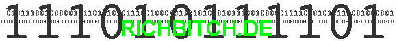 RICHBITCH.DE